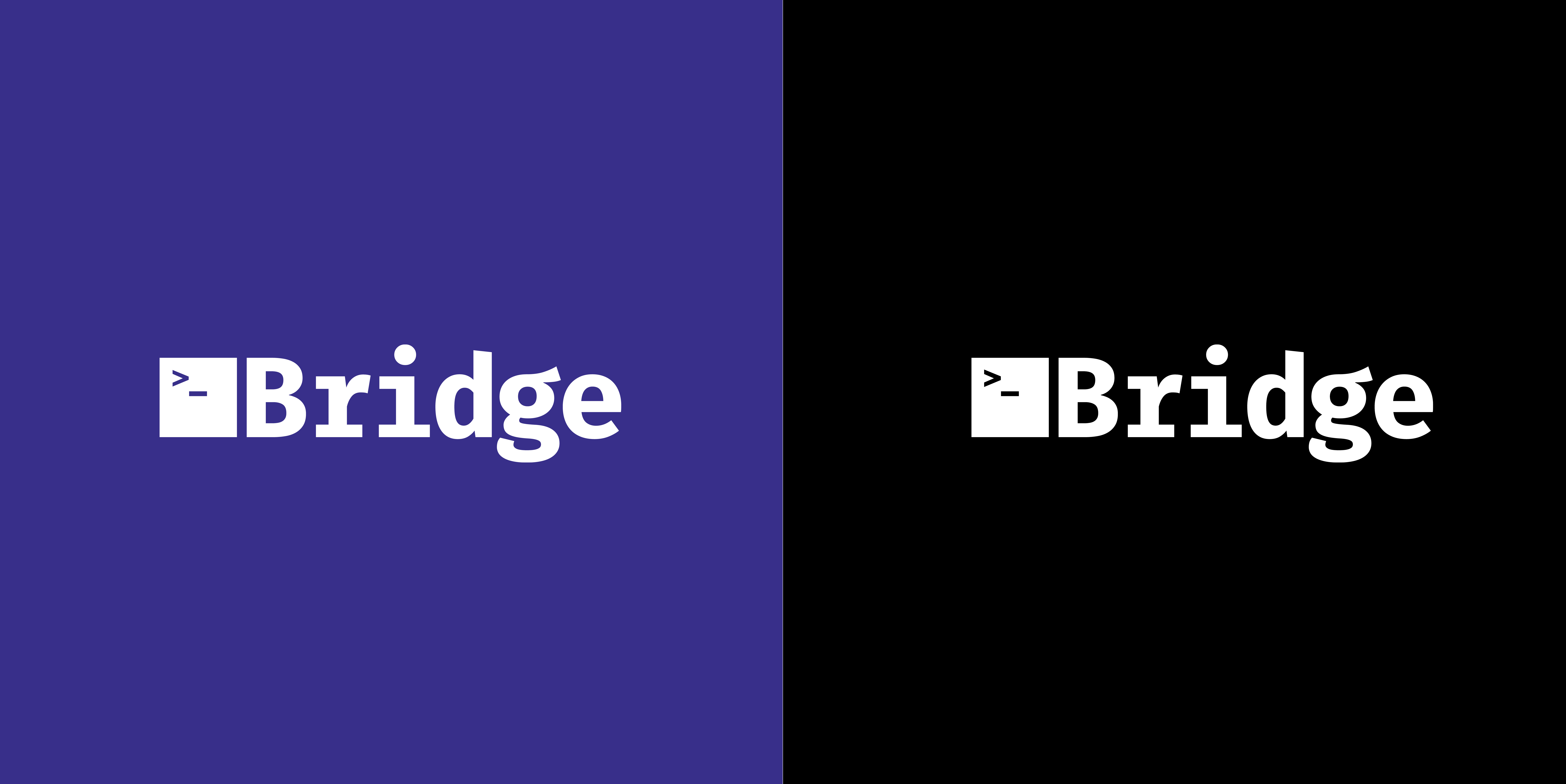 Bridge FT Brand Logo